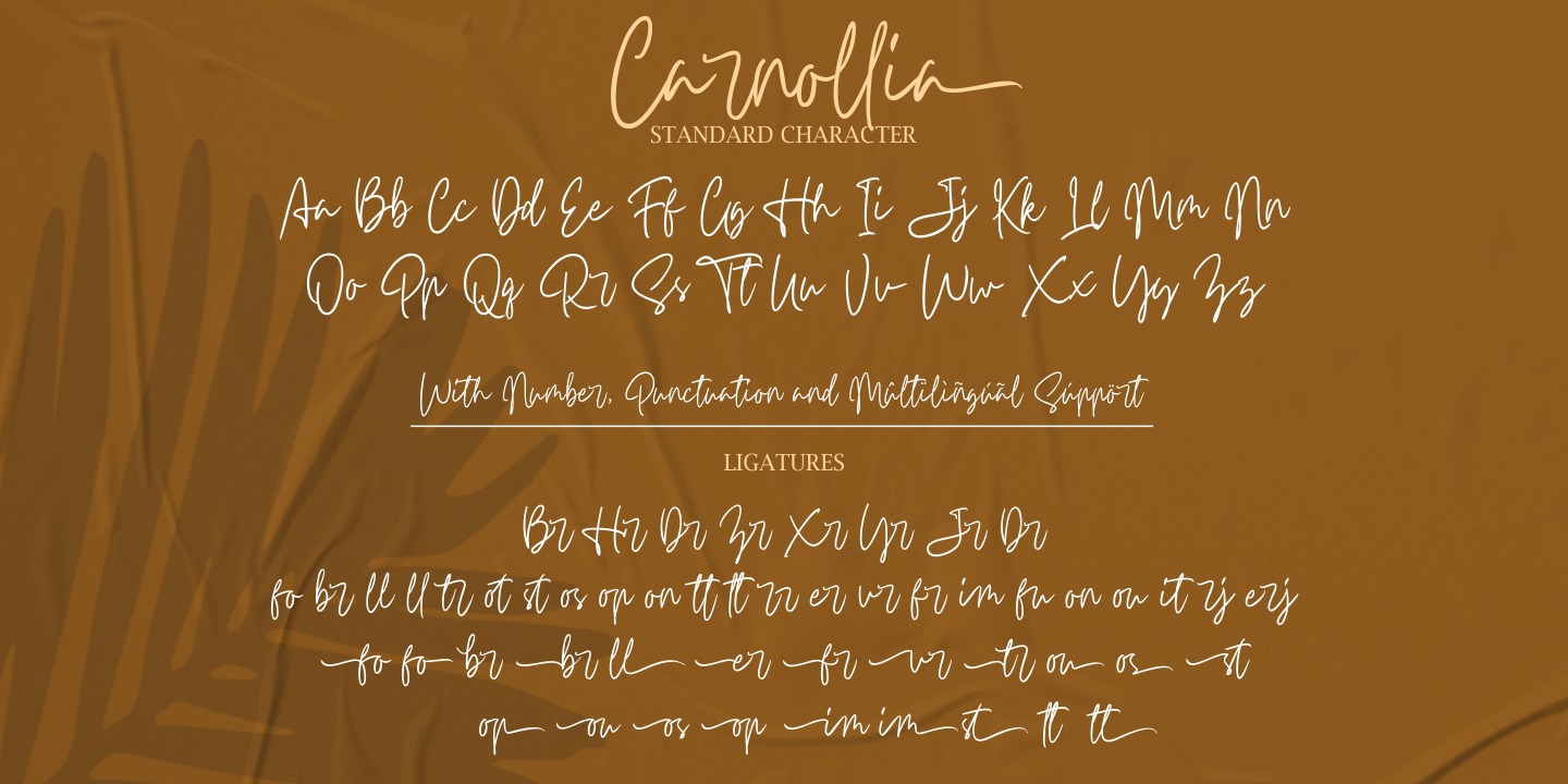 Przykład czcionki Carnollia Signature Regular